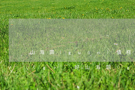 山海關(guān)債務(wù)律師哪個(gè)好(山海關(guān)會(huì)計(jì)師事務(wù)所)