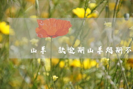 山羊貸款逾期 山羊超期不下羔怎么辦