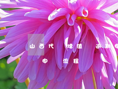 山西代辦增值稅逾期申報哪家好-山西增值稅申報流程