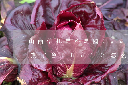 山西信托是不是國(guó)企（山西信托逾期了會(huì)怎么樣）