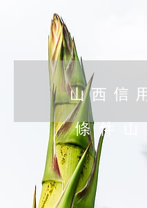 山西信用卡逾期停息掛賬申請(qǐng)條件(山西信用卡逾期停息掛賬申請(qǐng)條件)