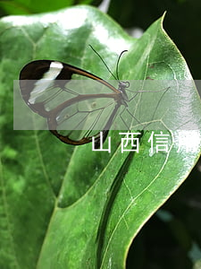 山西信用卡逾期率排名第一 山西堯都信用卡