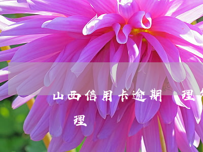 山西信用卡逾期處理(欠銀行信用卡逾期怎么處理)