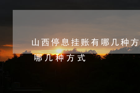 山西停息挂账有哪几种方式(山西停息挂账有哪几种方式)