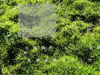 山西債務(wù)逾期處理方式(山西省清欠清收逾期貸款工作)