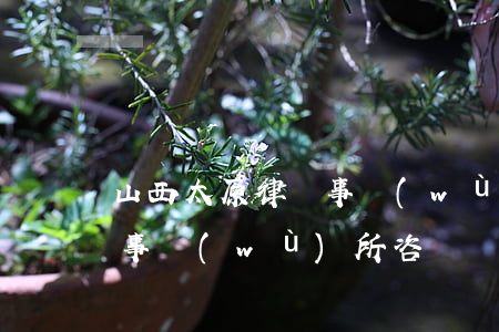 山西太原律師事務(wù)所(山西太原律師事務(wù)所咨詢電話)