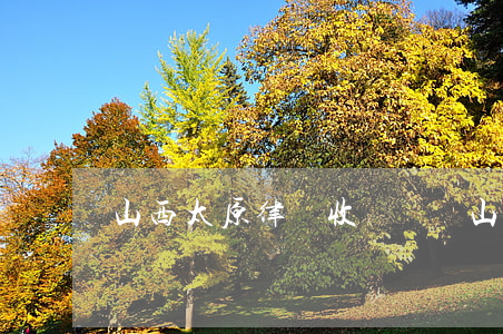 山西太原律師收費標準(山西太原有免費的律師嗎?)