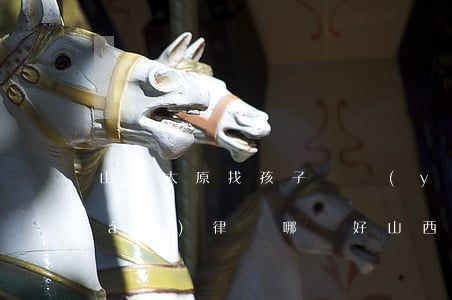 山西太原找孩子撫養(yǎng)權(quán)律師哪個好(山西省太原市最好的律師)