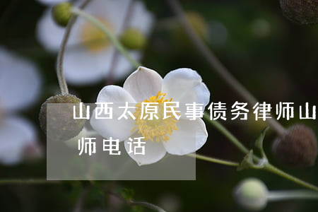 山西太原民事债务律师(山西太原民事债务律师电话)
