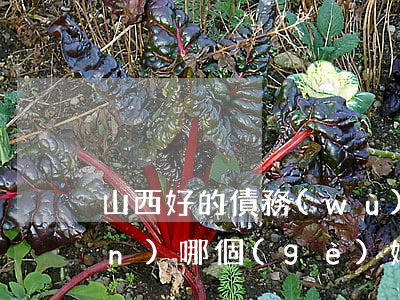 山西好的債務(wù)清償律師顧問(wèn)哪個(gè)好-太原債權(quán)債務(wù)律師