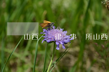 山西專務律師事務所(山西專務律師事務所)