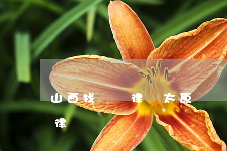 山西找債務律師(太原債權(quán)債務律師)