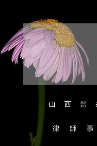 山西晉杰律師事務(wù)所律師(山西晉杰律師事務(wù)所怎么樣)