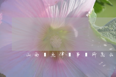 山西晉杰律師事務所怎么樣