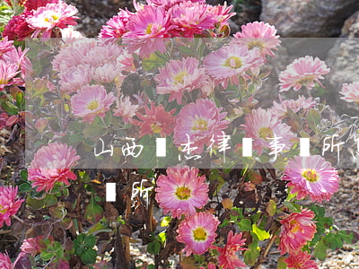 山西晉杰律師事務所怎么樣(山西晉工律師事務所)