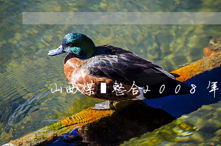 山西煤礦整合(2008年山西煤礦整合)