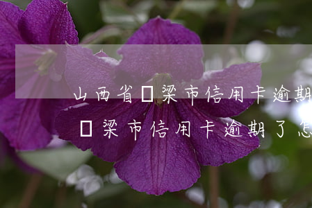 山西省呂梁市信用卡逾期了怎么辦-山西省呂梁市信用卡逾期了怎么辦理