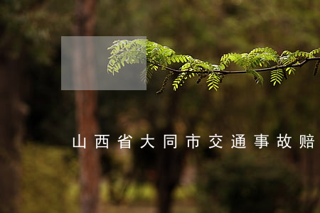 山西省大同市交通事故赔偿标准
