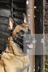 山西省忻州市代縣征地補償標準