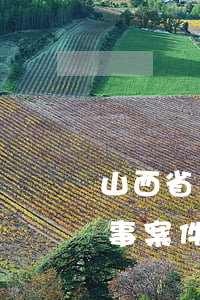 山西省電信詐騙多少錢(qián)能立刑事案件(山西省涉嫌電信詐騙的立案標(biāo)準(zhǔn)為多少元)