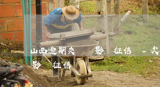 山西逾期交電費影響征信嗎-欠電費會不會影響征信