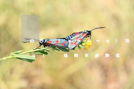 山西長(zhǎng)治市武鄉(xiāng)縣信用卡逾期名單-山西長(zhǎng)治市武鄉(xiāng)縣信用卡逾期名單公示