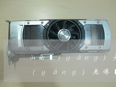 山西養(yǎng)老保險新政策(山西省養(yǎng)老保險政策)