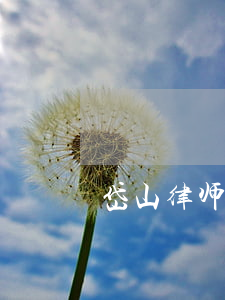 岱山律师事务所哪个好