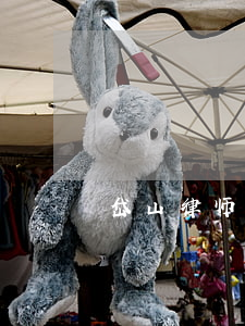 岱山律师事务所哪个好(山西岱安律师事务所)