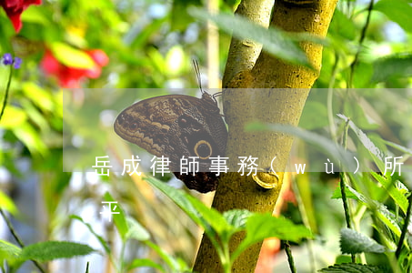 岳成律師事務(wù)所怎么樣(岳成律師水平)