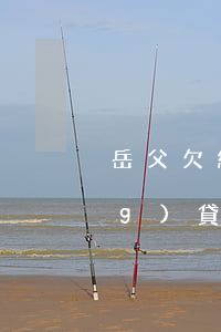岳父欠網(wǎng)貸怎么辦(網(wǎng)貸妻子欠錢丈夫需要償還嗎)