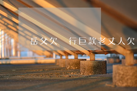 岳父欠銀行巨款(老丈人欠錢怎么要)