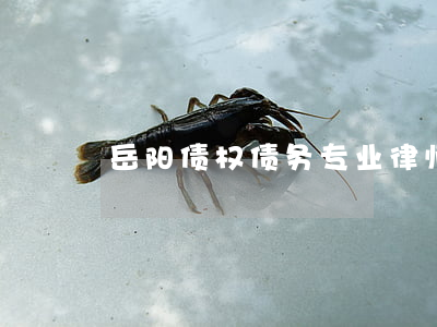 岳阳债权债务专业律师