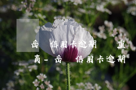 岳陽信用卡逾期債務重組怎么協(xié)商-岳陽信用卡逾期債務重組怎么協(xié)商還款
