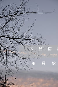 岳麓信用貸款停息掛賬的申請流程-岳麓信用貸款停息掛賬的申請流程是什么