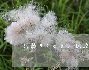 岳麓區(qū)民政局辦理離婚