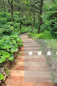 岳麓建行信用卡如何申請(qǐng)停息掛賬-岳麓建行信用卡如何申請(qǐng)停息掛賬業(yè)務(wù)