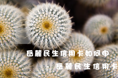 岳麓民生信用卡如何申請(qǐng)停息掛賬-岳麓民生信用卡如何申請(qǐng)停息掛賬業(yè)務(wù)
