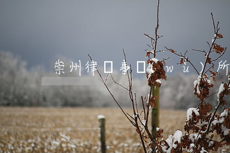 崇州律師事務(wù)所在哪里