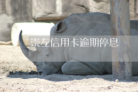 崇左信用卡逾期停息掛賬