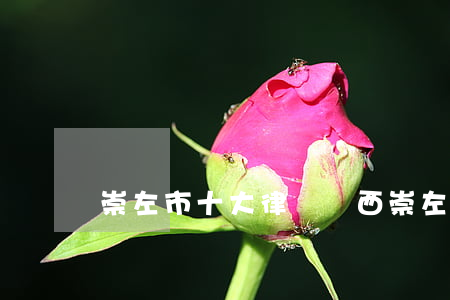 崇左市十大律師(廣西崇左最好的律師)