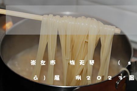 崇左市壯族天琴藝術(shù)傳承發(fā)展條例2023最新版【全文】