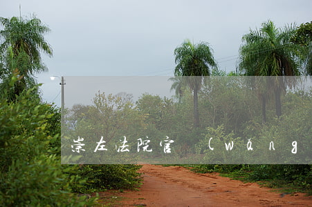 崇左法院官網(wǎng)(崇左市法院)