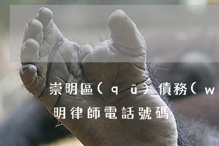 崇明區(qū)債務(wù)追討律師-崇明律師電話號碼