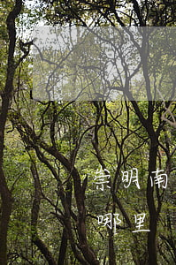 崇明南門(mén)律師事務(wù)所在哪里