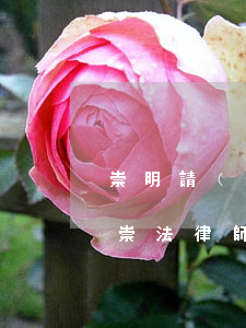 崇明請(qǐng)個(gè)律師多少錢(崇法律師咨詢)