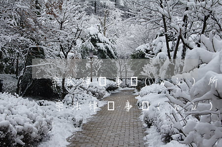 崇民律師事務(wù)所官網(wǎng)(崇法律師事務(wù)所)