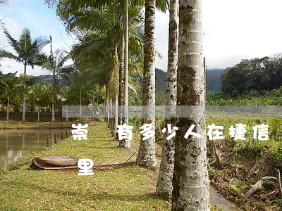 崇陽有多少人在捷信貸款(崇州貸款公司在哪里)