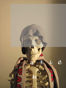 崔景玉你的貸款已逾期(崔景玉你的貸款已逾期)