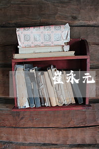 崔永元離婚原因